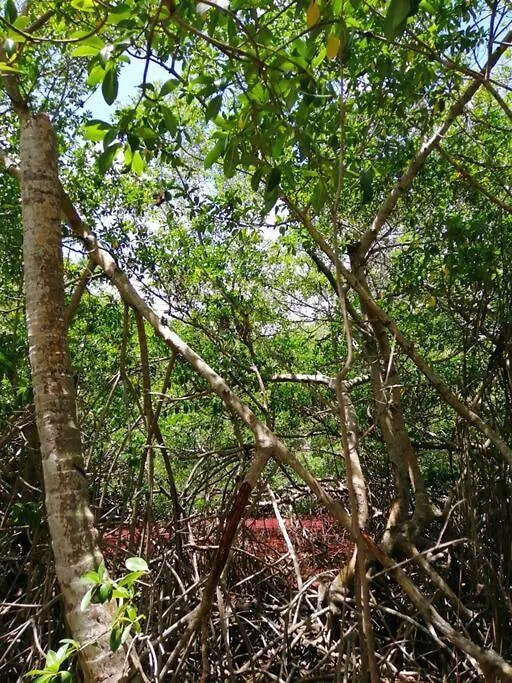 Mi Hermosa - Casa Islena A 70 Metros De La Playa Archibolds 0*,