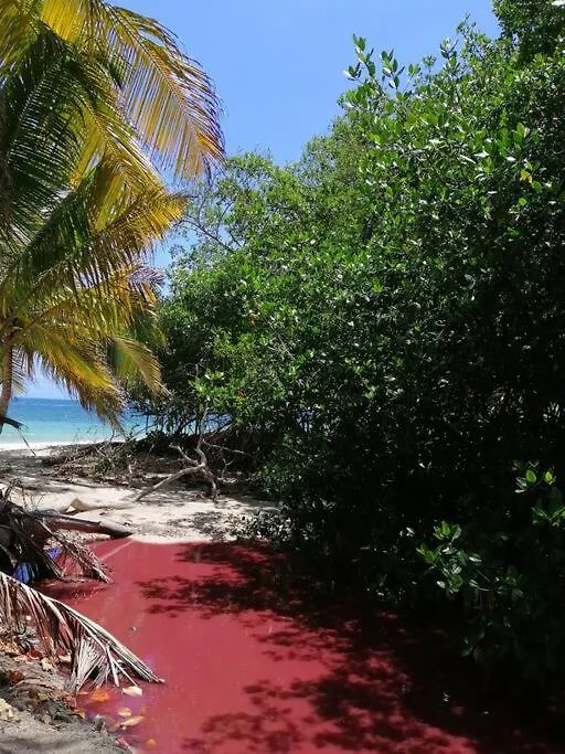 Mi Hermosa - Casa Islena A 70 Metros De La Playa Archibolds 0*,  Colombia